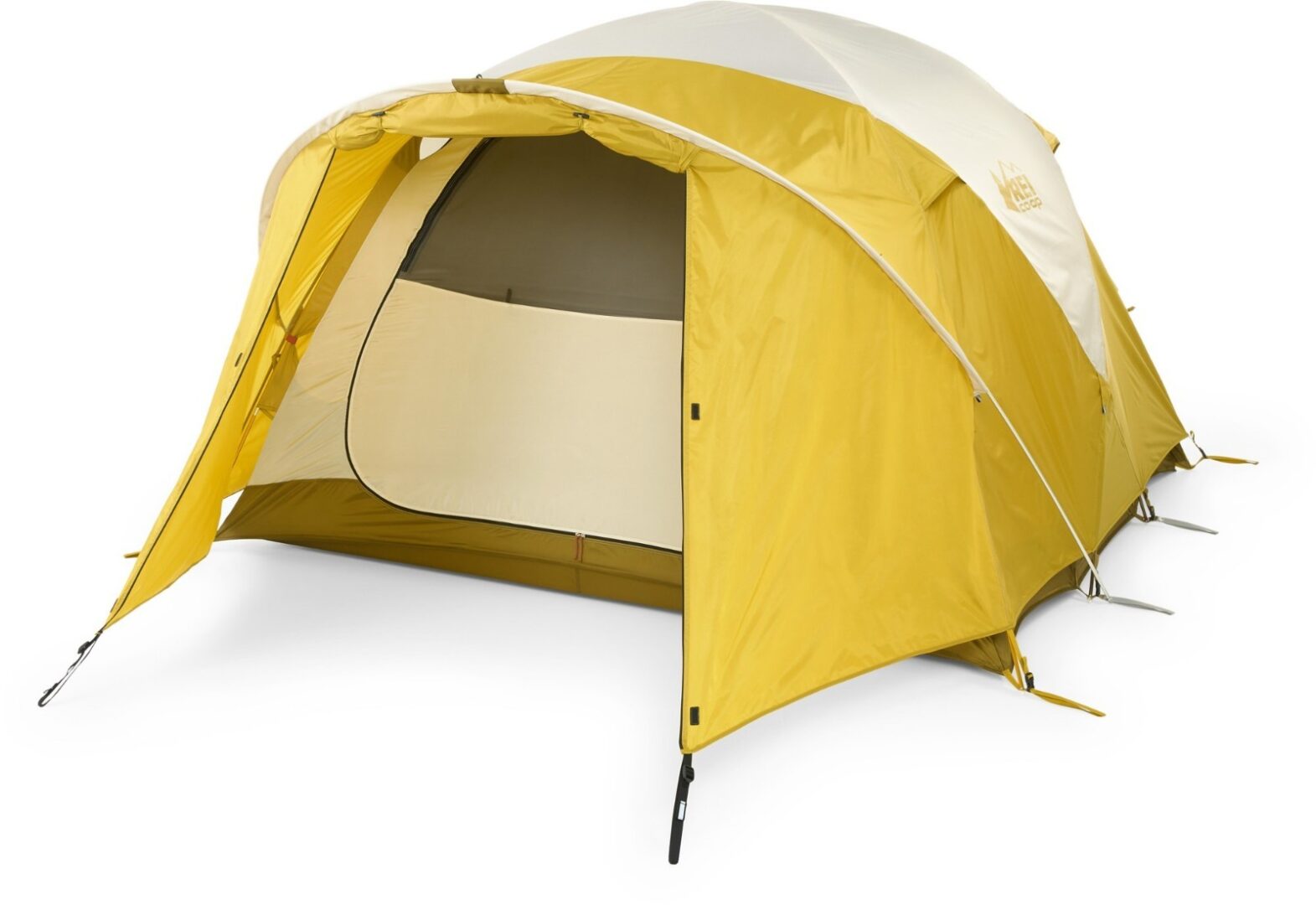 REI Co-op Base Camp 4 Tent, Desert Moss, Ships Free from US